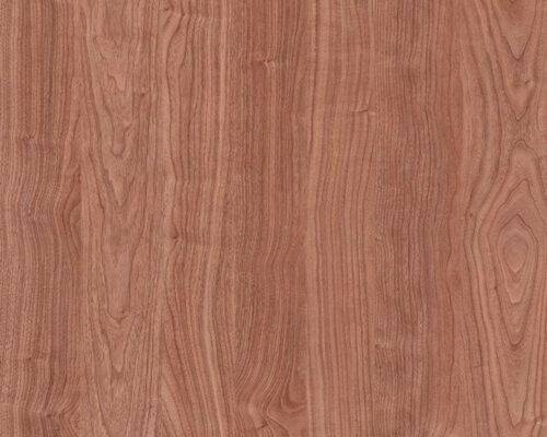 Nogal manhattan Étnico Imagen de Nogal manhattan Étnico