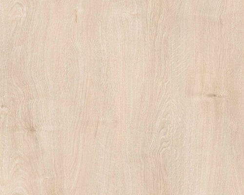 Roble joven beatle Imagen de Roble joven beatle